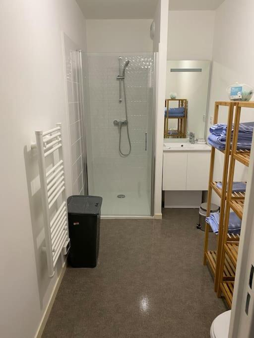 Appartement Aux Portes De Vannes Séné Εξωτερικό φωτογραφία