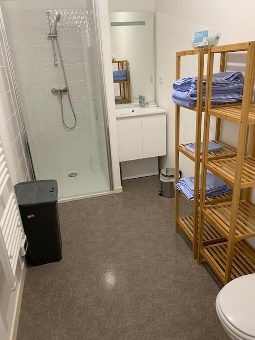 Appartement Aux Portes De Vannes Séné Εξωτερικό φωτογραφία